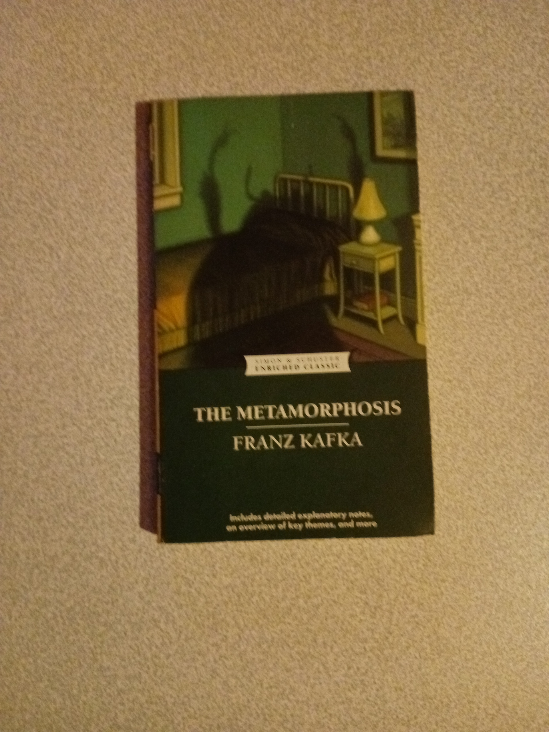 The metamorphosis - franz kafka i̇ngi̇li̇zce