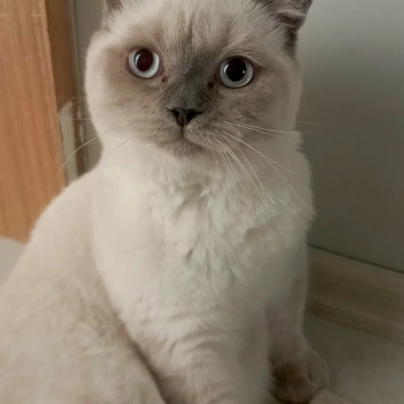 Kadir profil resmi