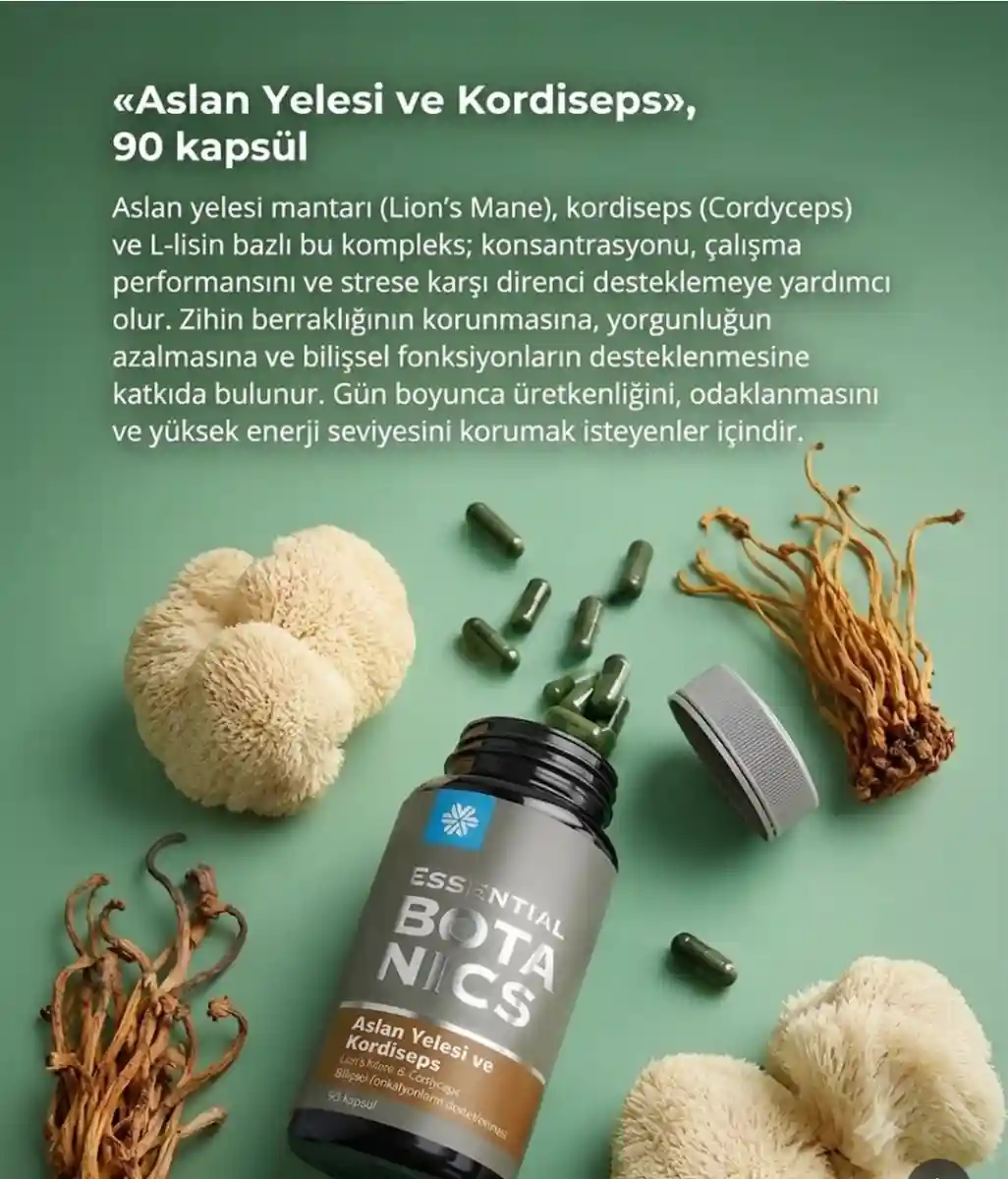 Aslan yelesi ve kordiseps takviyesi - 90 kapsül
