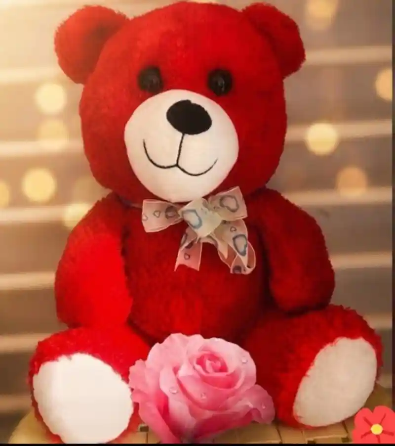 Kırmızı peluş ayı