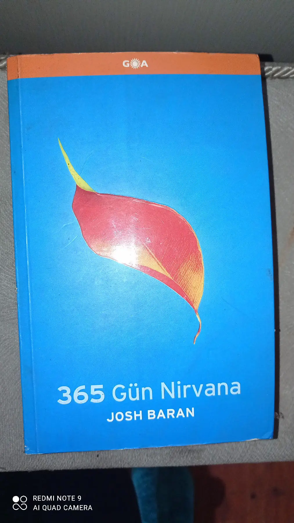 365 gün nirvana - josh baran