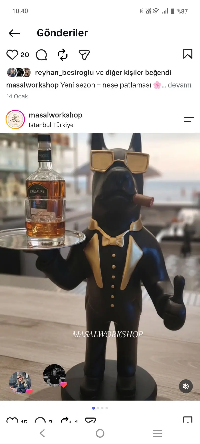 Köpek temalı servis