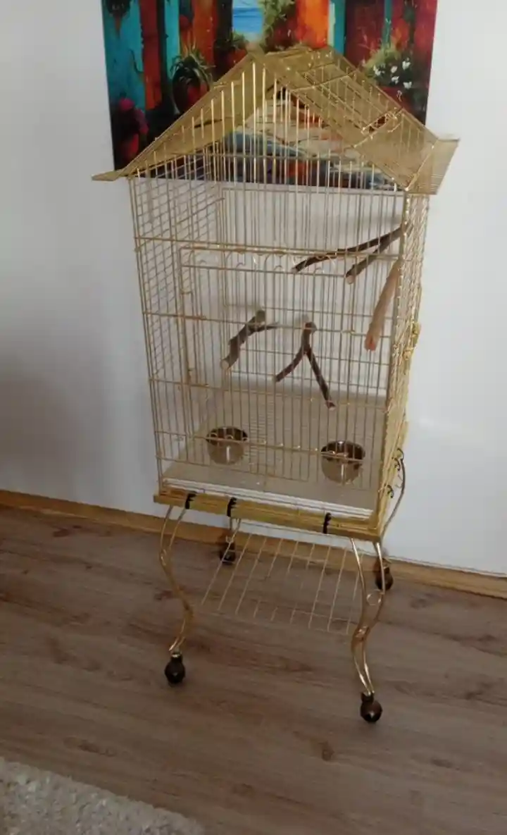 Altın renkli kuş kafesi