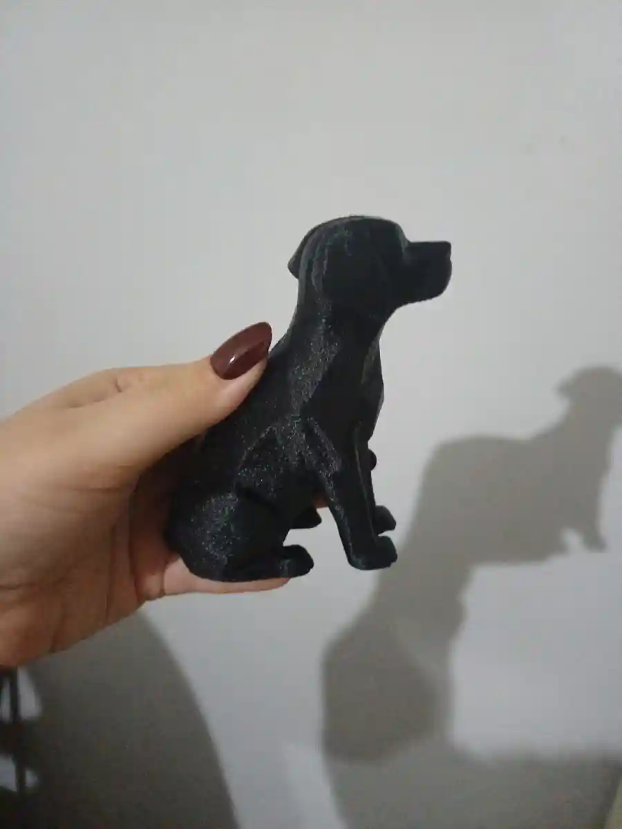 Siyah köpek figürü