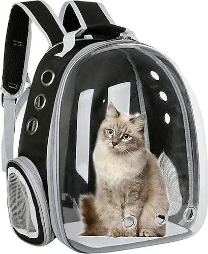 şeffaf kedi taşıma sırt çantası