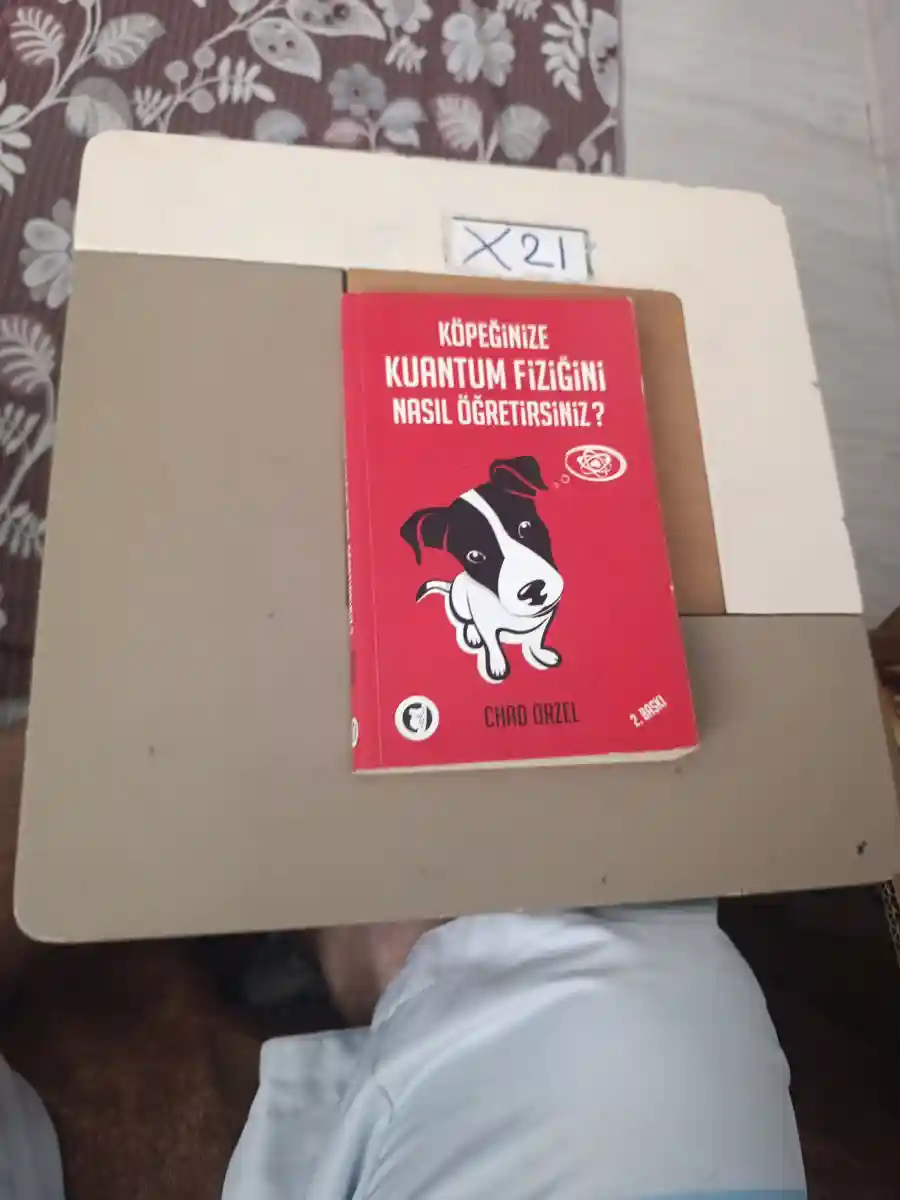Köpeğinize kuantum fiziğini nasıl öğretirsiniz?