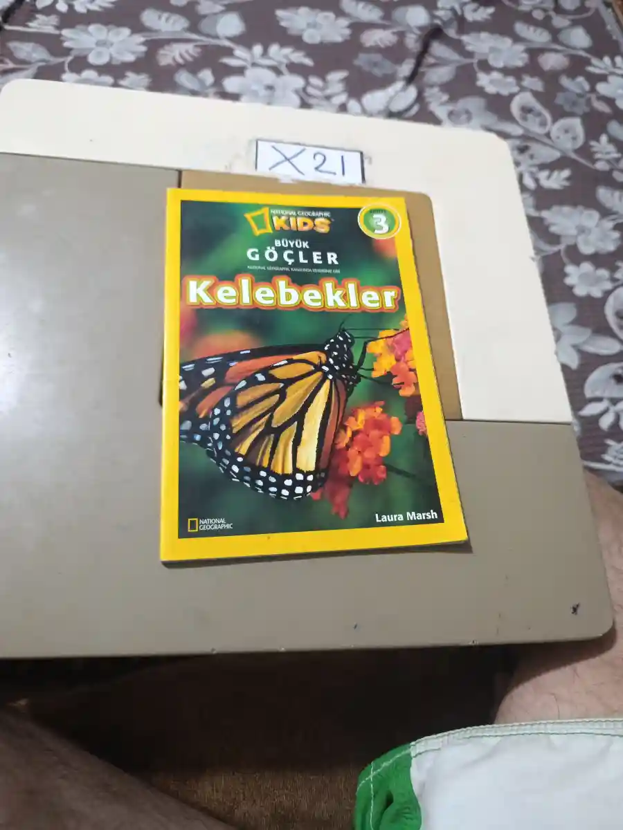 Kelebekler - çocuklar i̇çin eğitici kitap