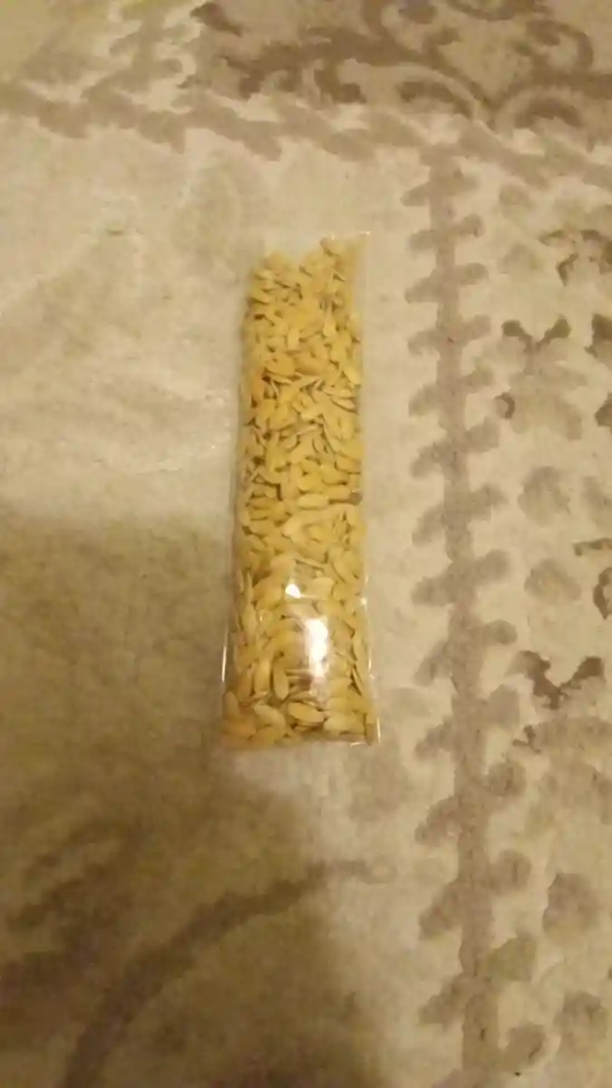 Doğal taze tatlı kavun tohumu