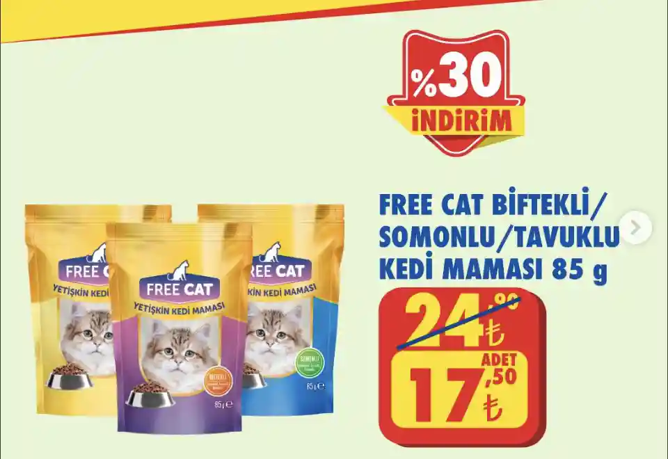 Büyük Resim