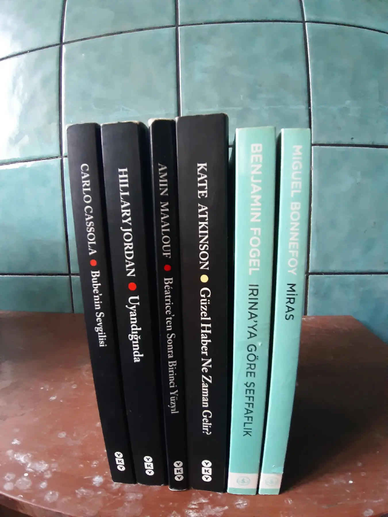 çeşitli romanlar ve edebiyat kitapları