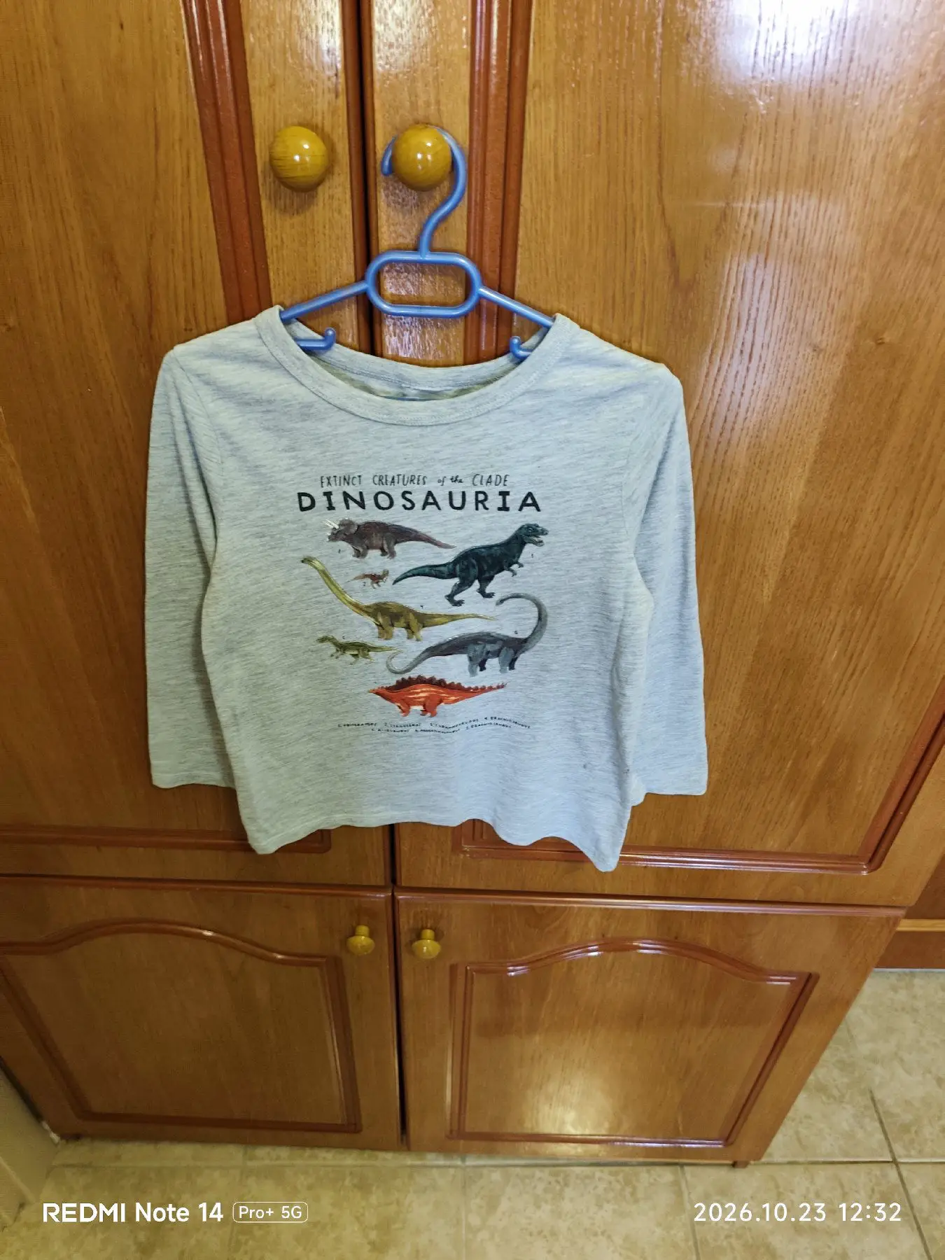 Dinozor desenli çocuk tişörtü 4/5 yas