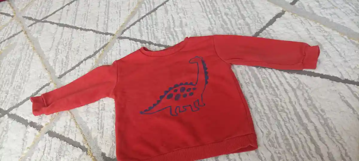 Kırmızı dinozor desenli sweatshirt