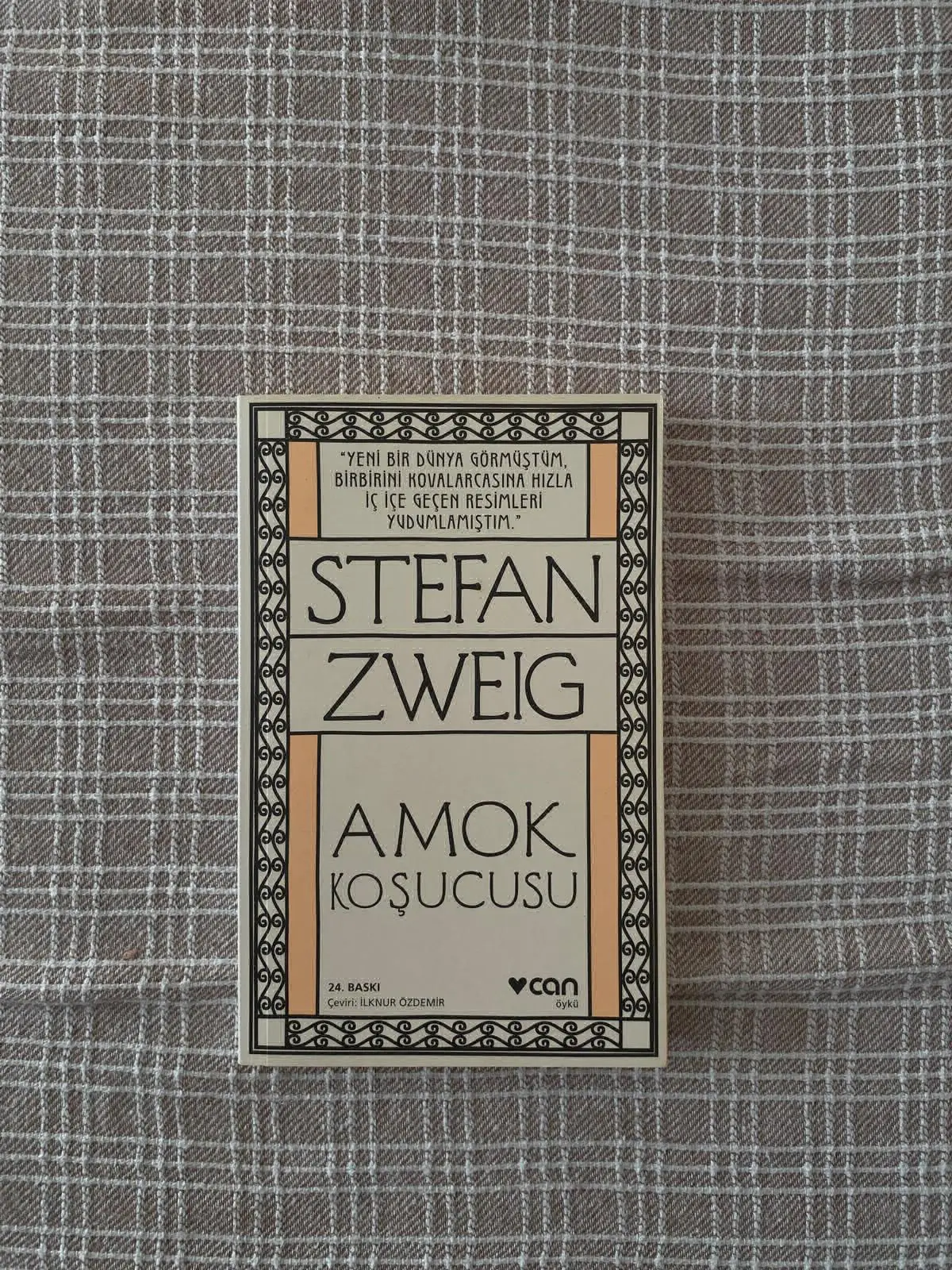 Stefan zweig - amok koşucusu