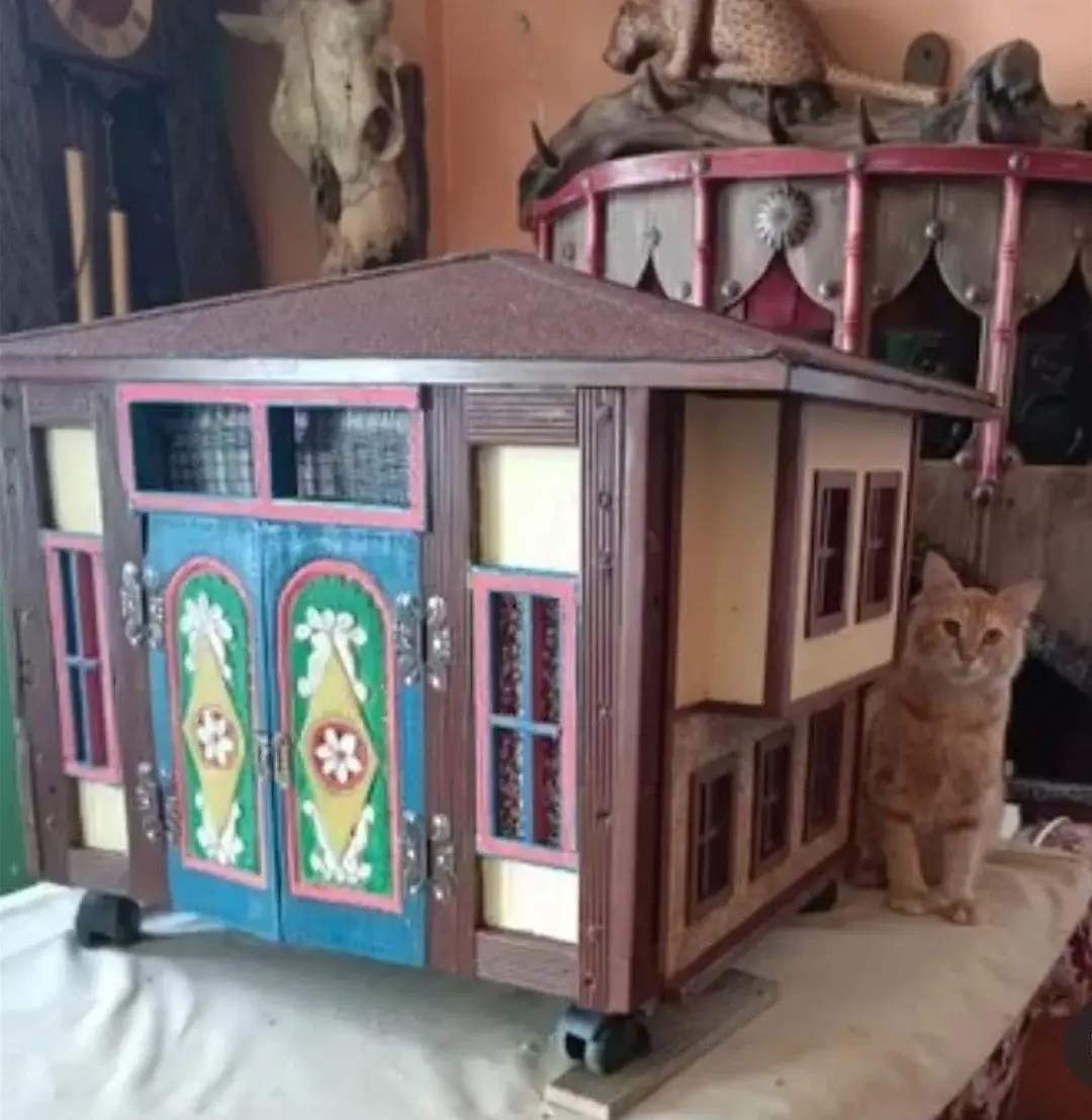 özel el emeği yapılan kedi köpek evi