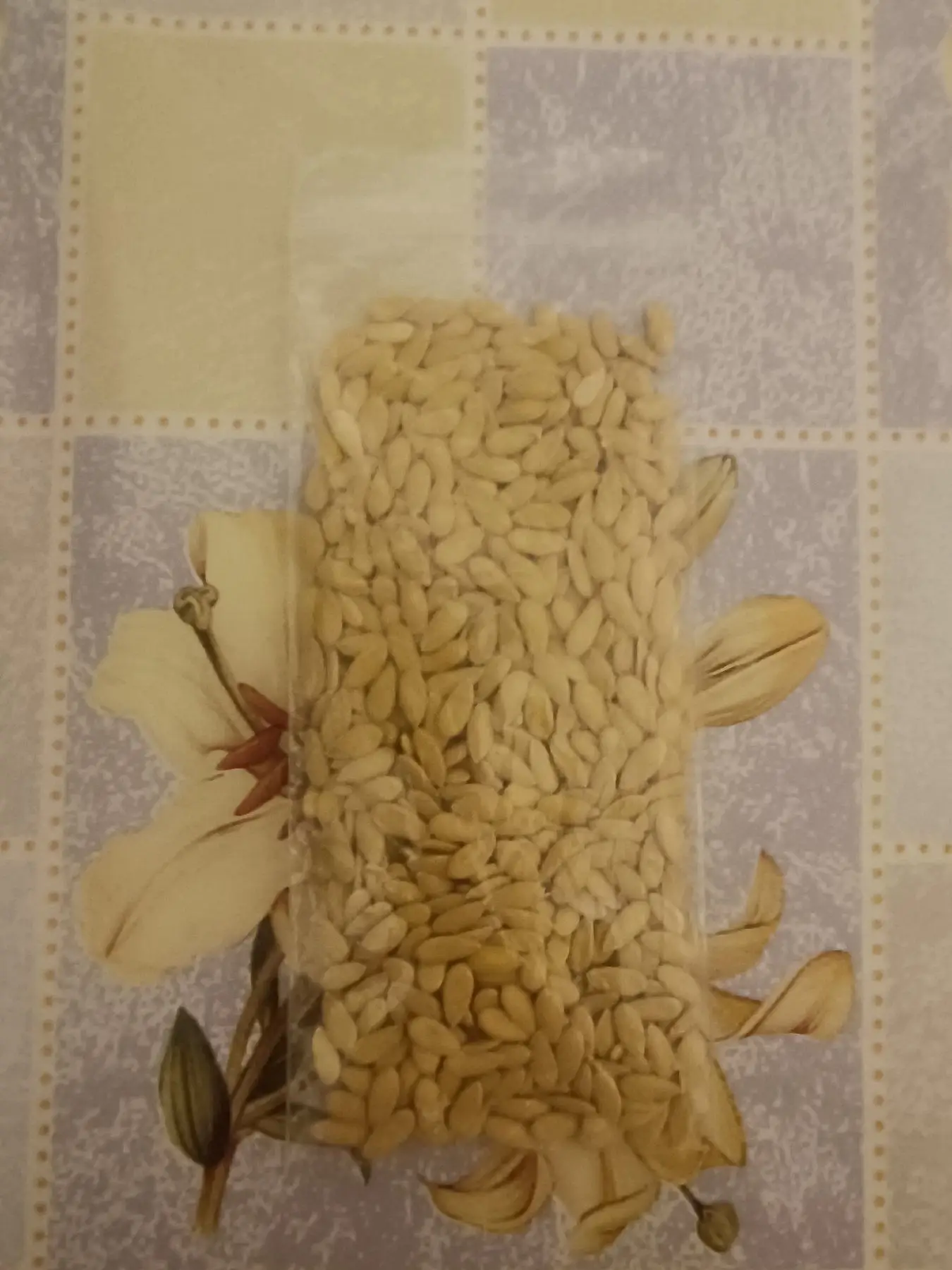 Kavun tohumu