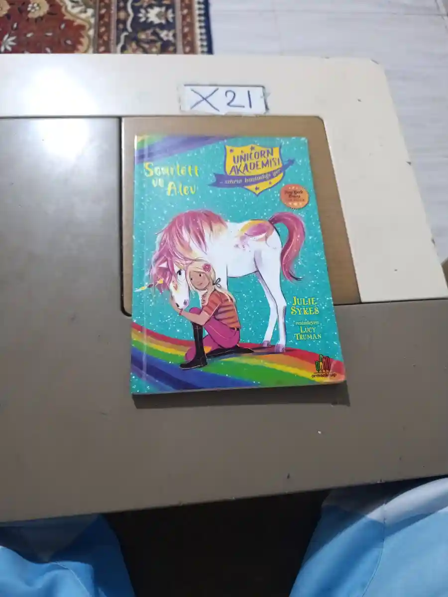 Unicorn akademisi: somut ve ateş