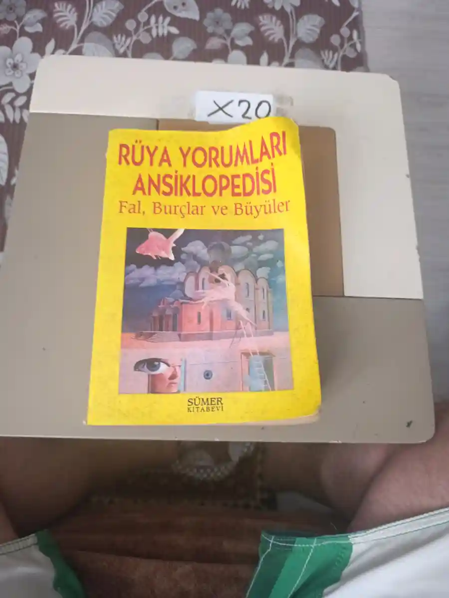 Sümer kitabevi tarafından 1996 yılında basılan, ali manav editörlüğündeki "rüya yorumları ansik