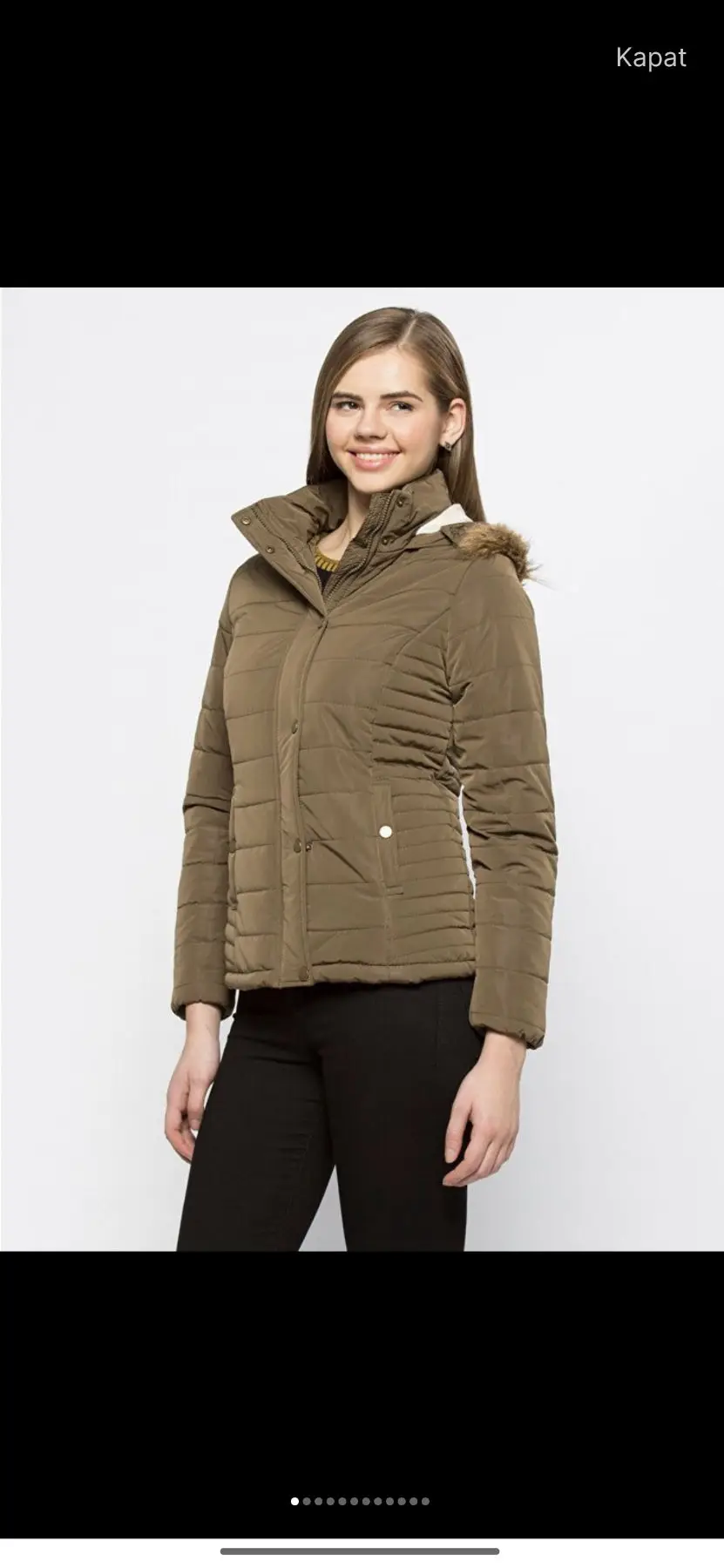 Polarli mont