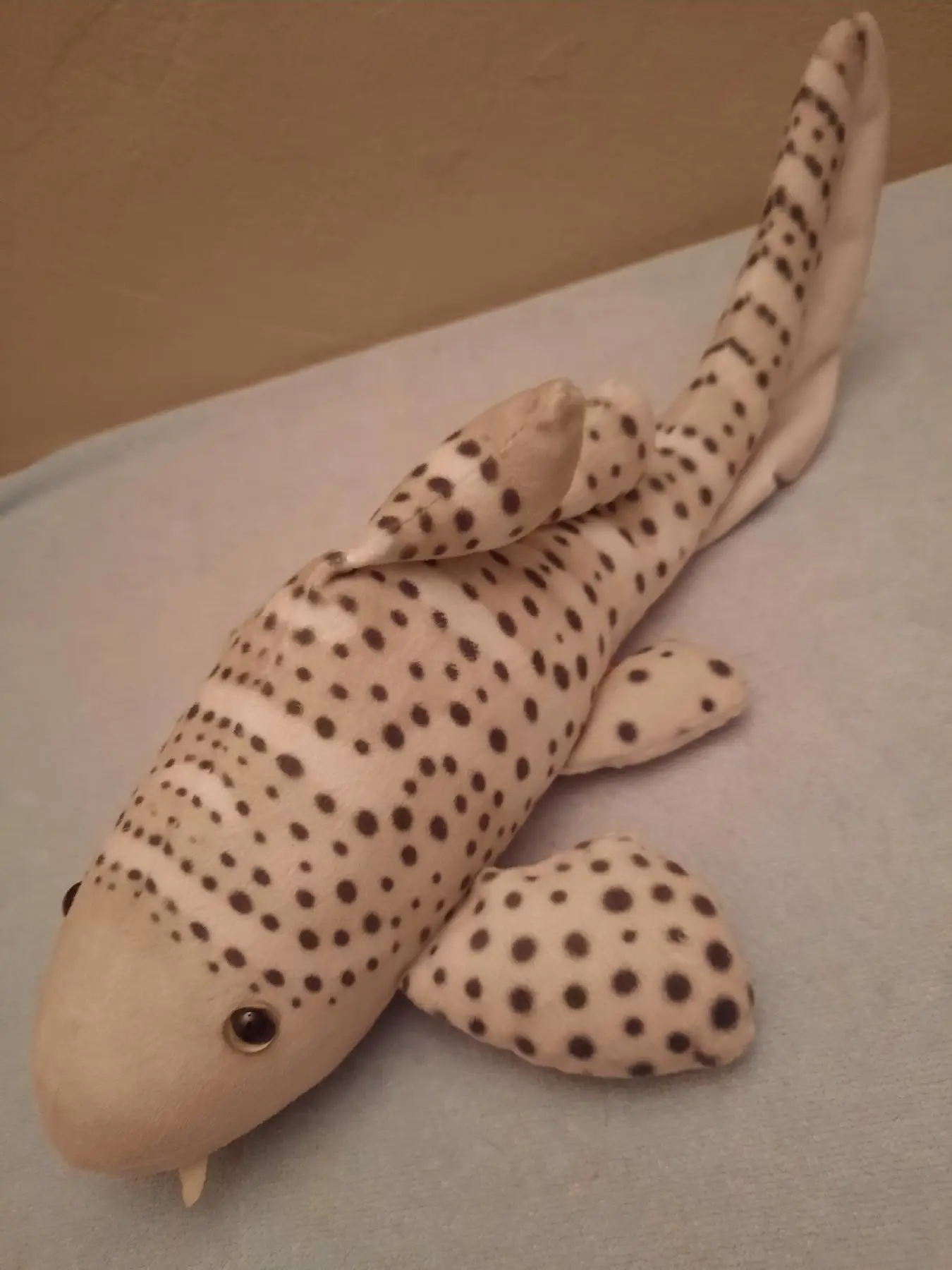Wi̇ld republi̇c leopar köpekbaliği 38cm ilan görseli