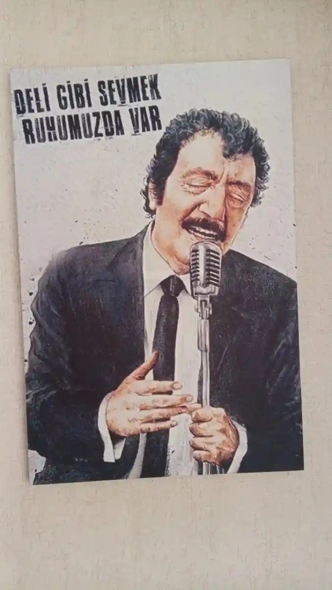 Deli gibi sevmek albümü