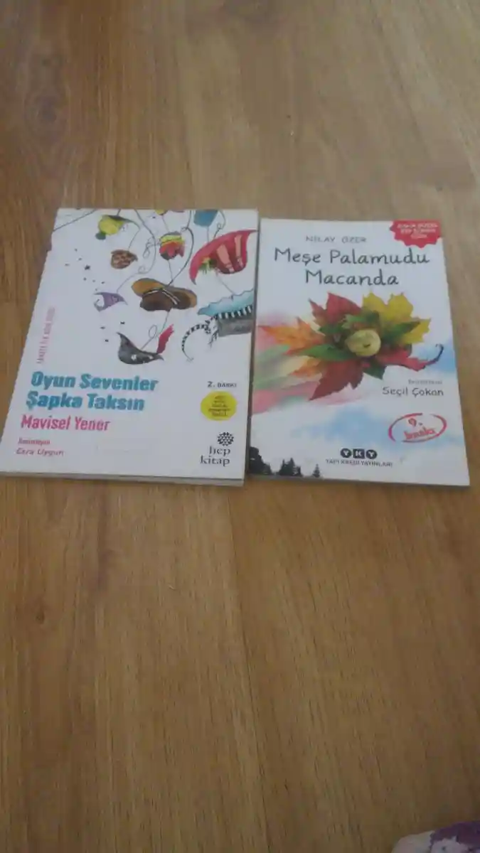 Oyun sevenler şapka takımı ve meşhur palamut macanda