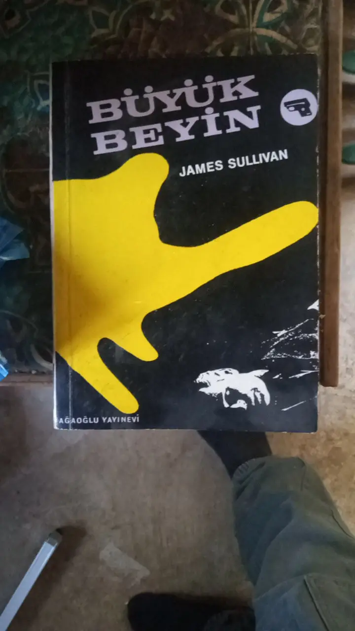 Büyük beyin - james sullivan ilan görseli