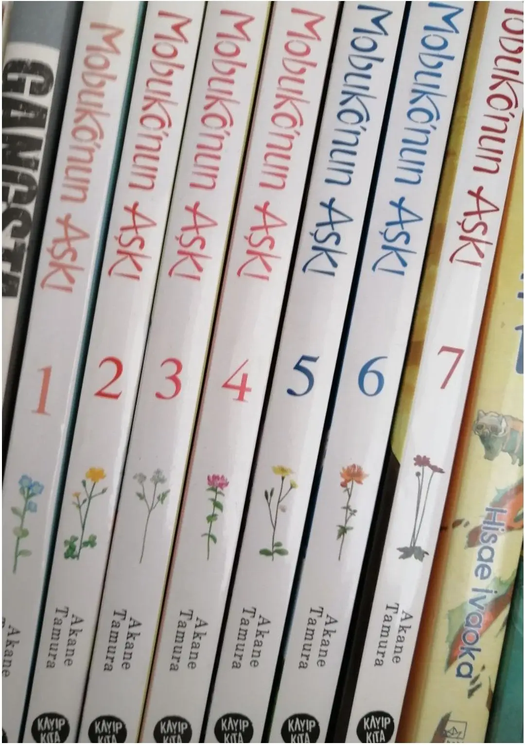 Mobukonun aşkı manga seti 1-7