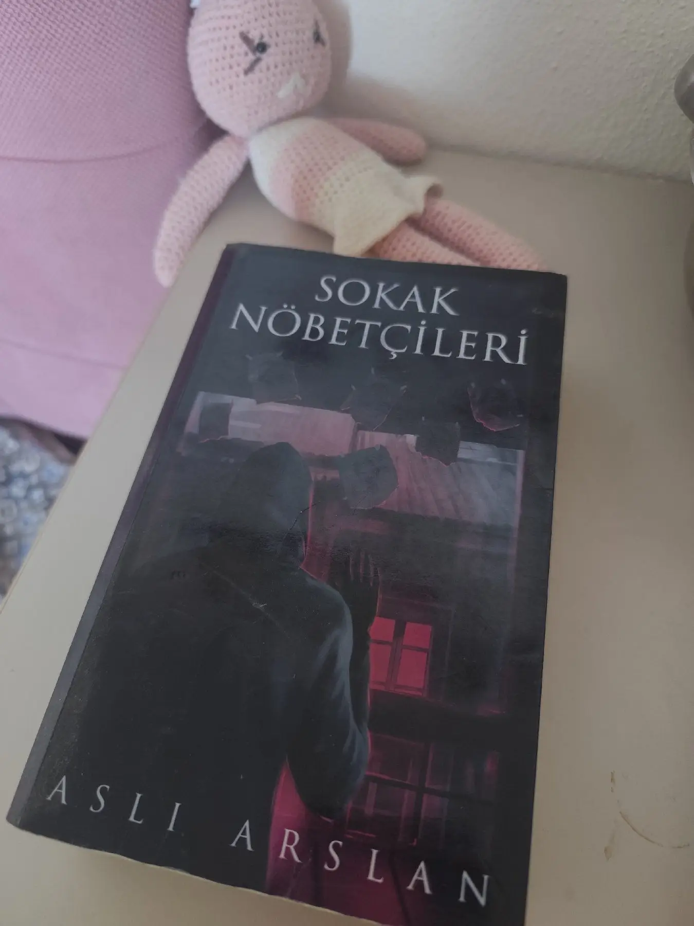 Sokak nöbetçileri - aslı arslan