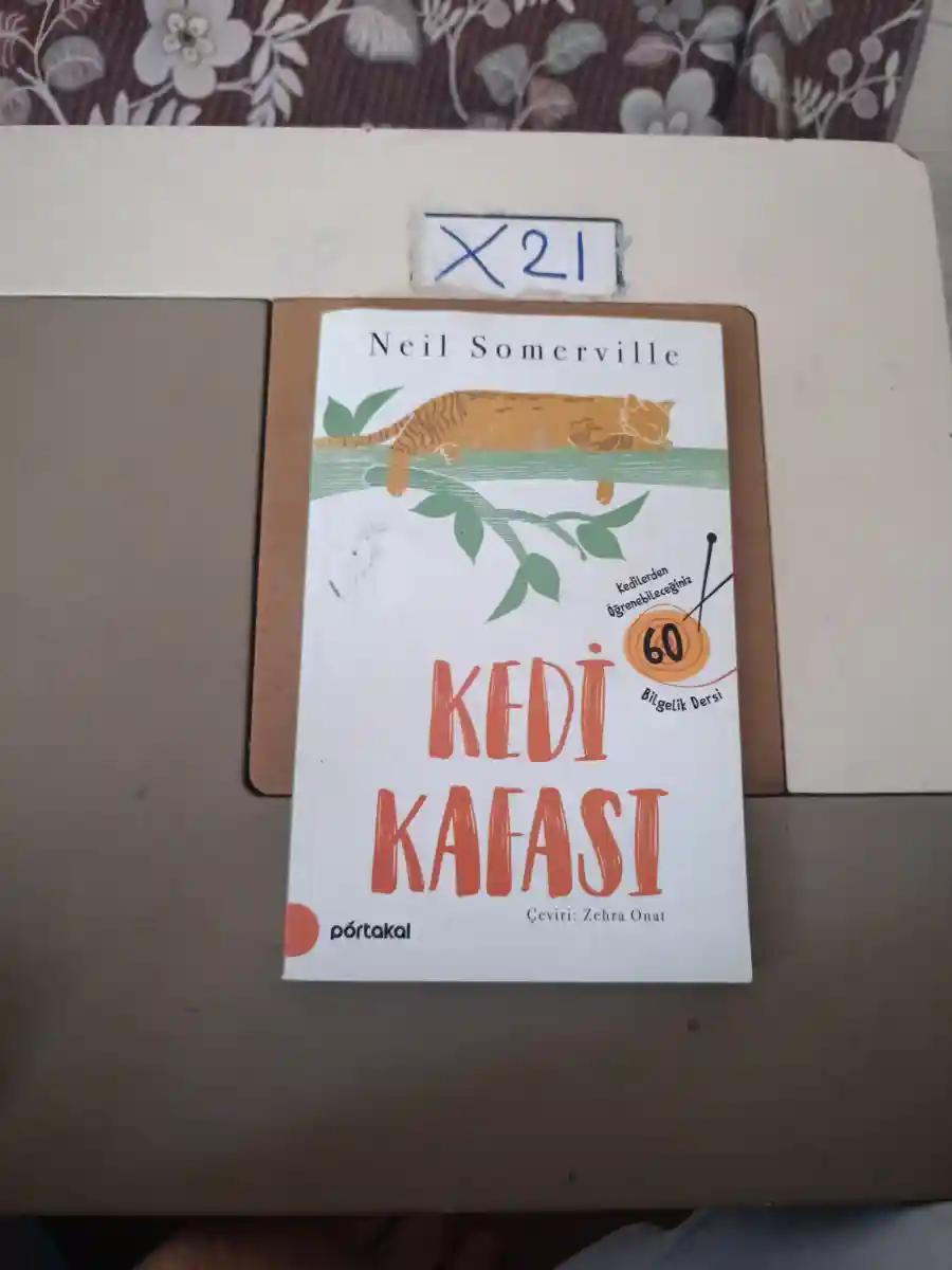 Kedi kafası kitabı