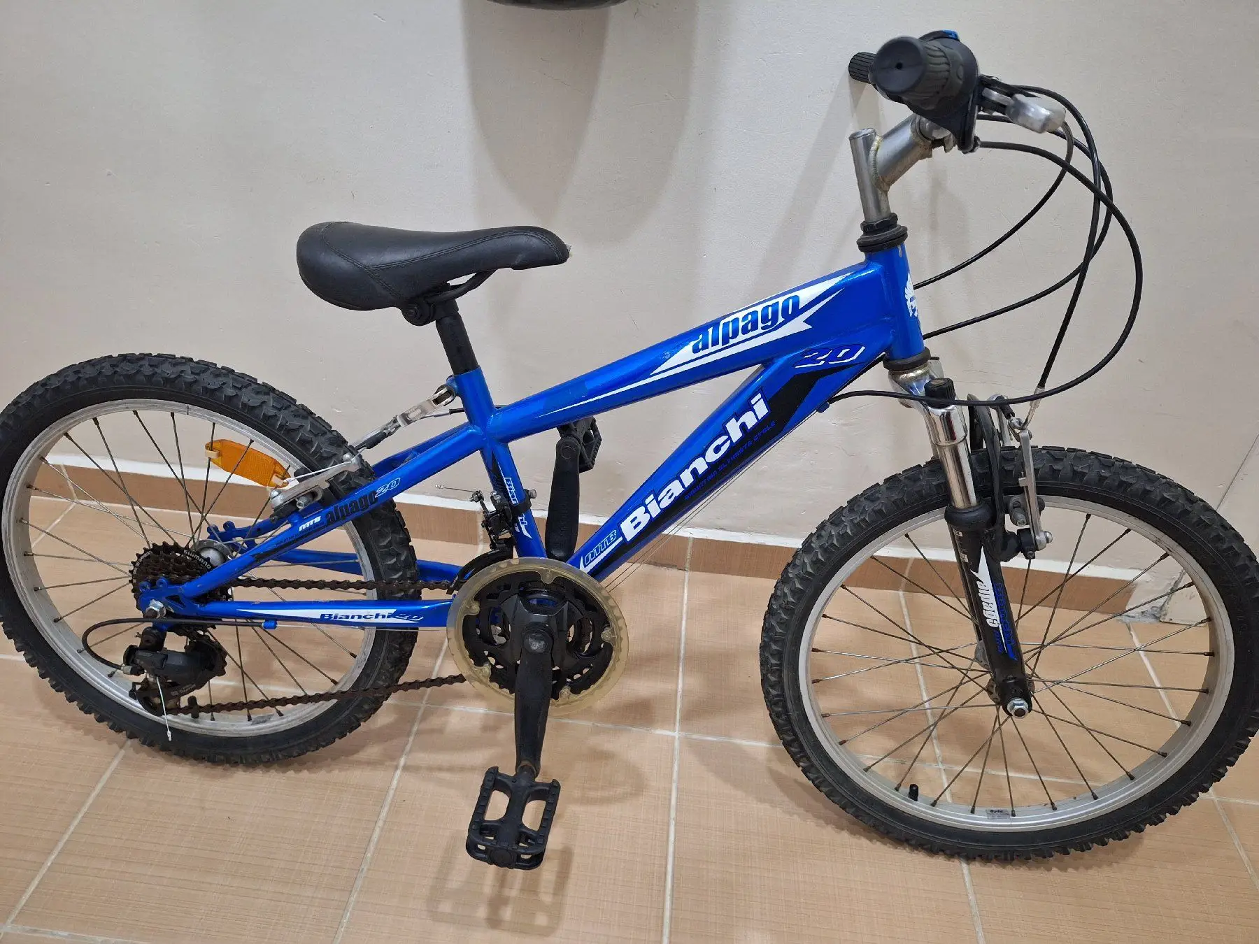 Mavi bianchi 20 jant dağ bisikleti pendik