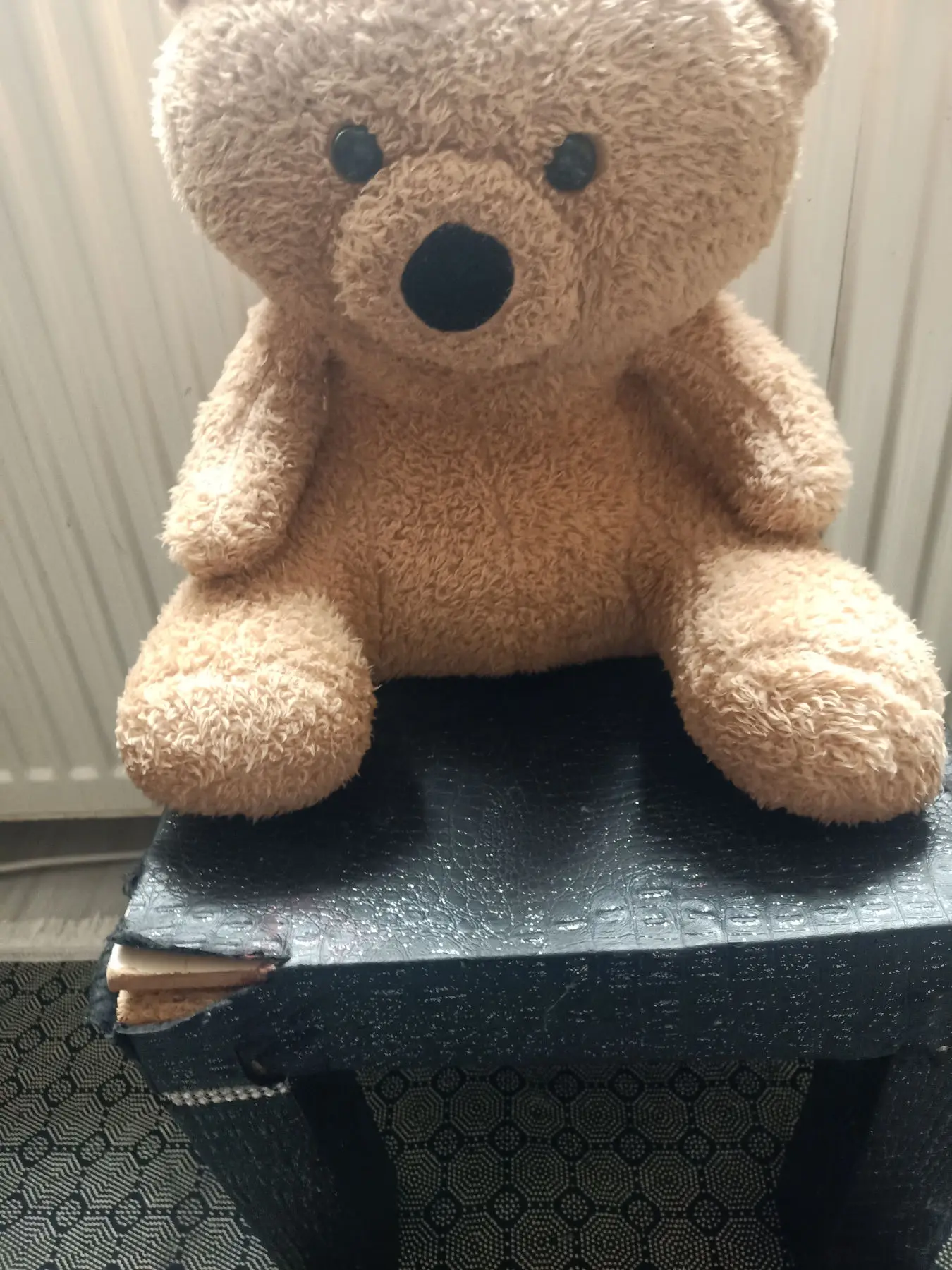 Peluş ayı ve