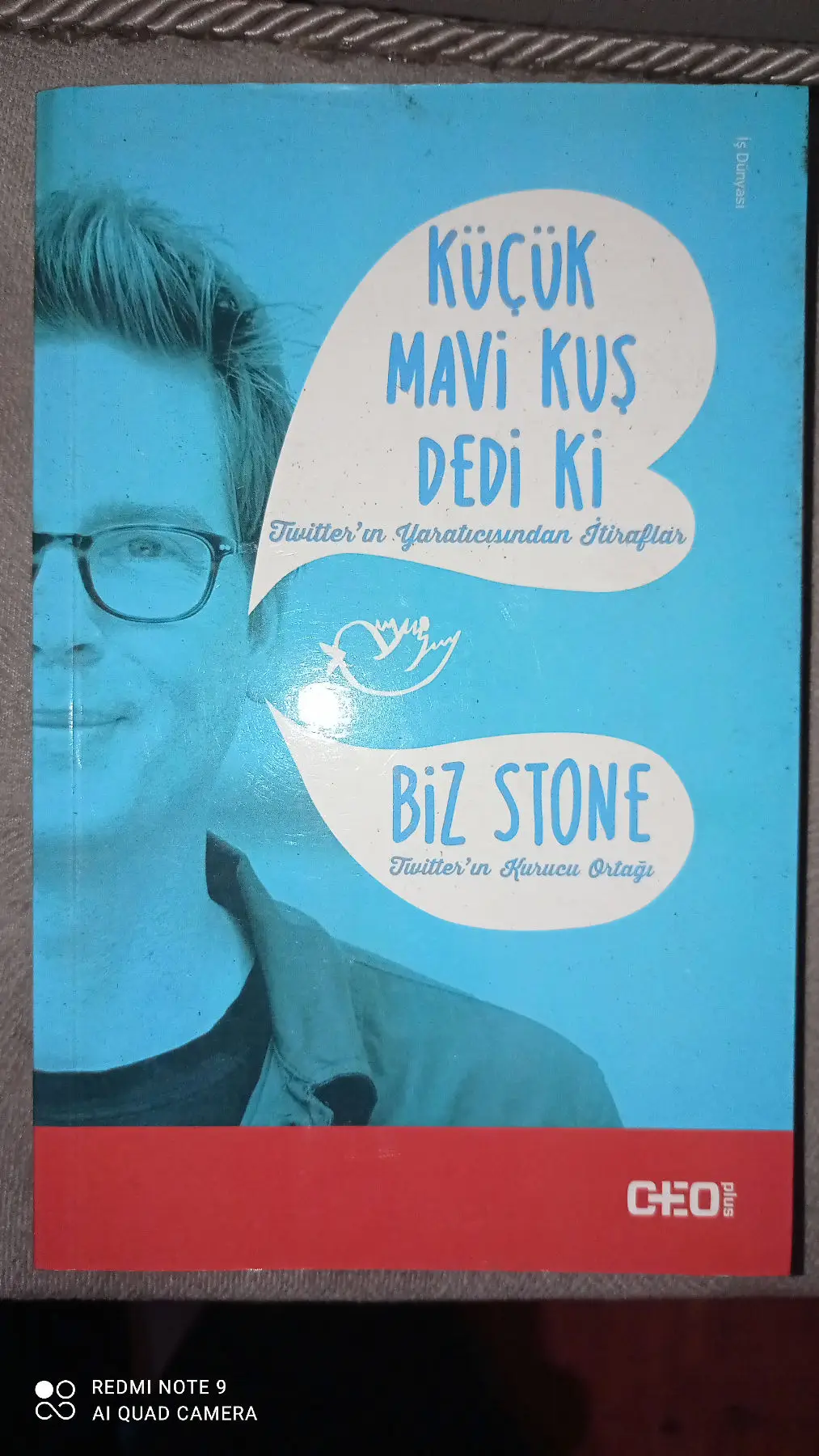 Biz stone küçük bir kuş dedi ki