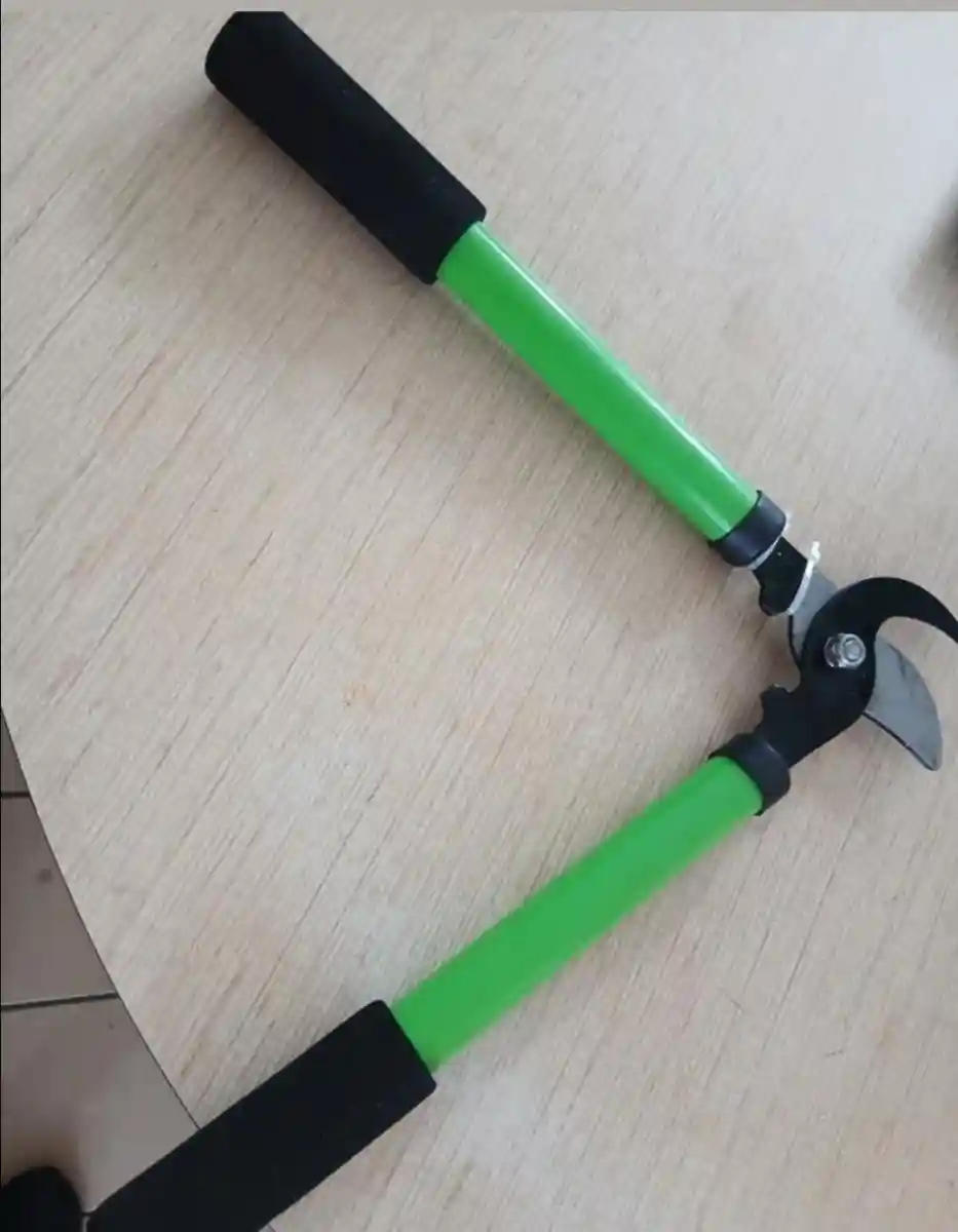 Yeşil saplı bahçe budama makası