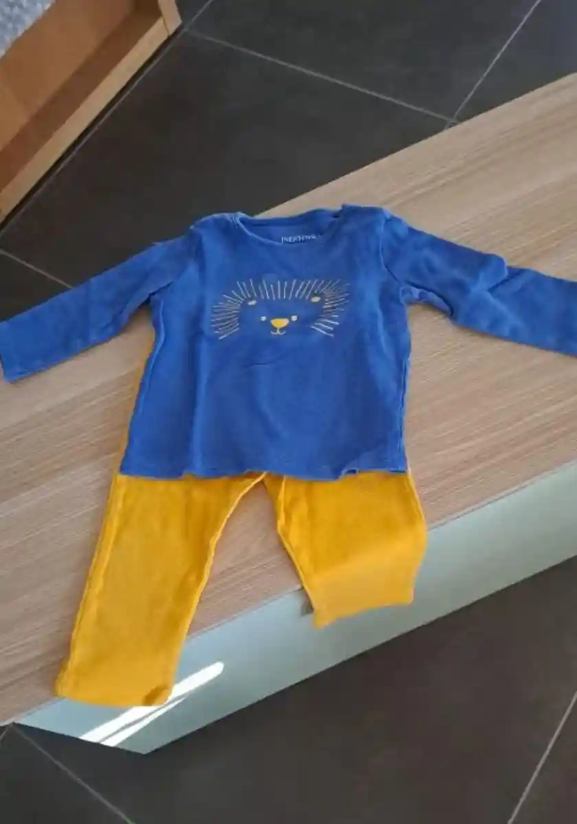 Mavi aslan desenli çocuk tişörtü ve sarı pantolon