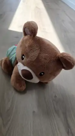 Sevimli peluş ayı