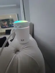 Ev kokusu içine istediğiniz kokuyu karabilirsiniz