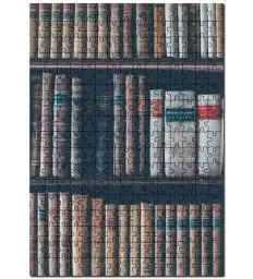 Antika kitap koleksiyonu (tarih ve biyografi)