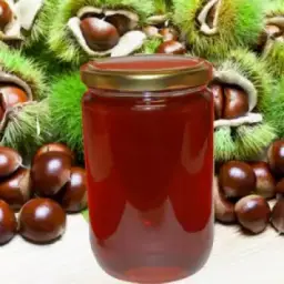 Organik kestane balı