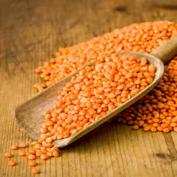 Doğal kırmızı mercimek