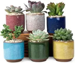 El yapımı seramik çiçek saksıları